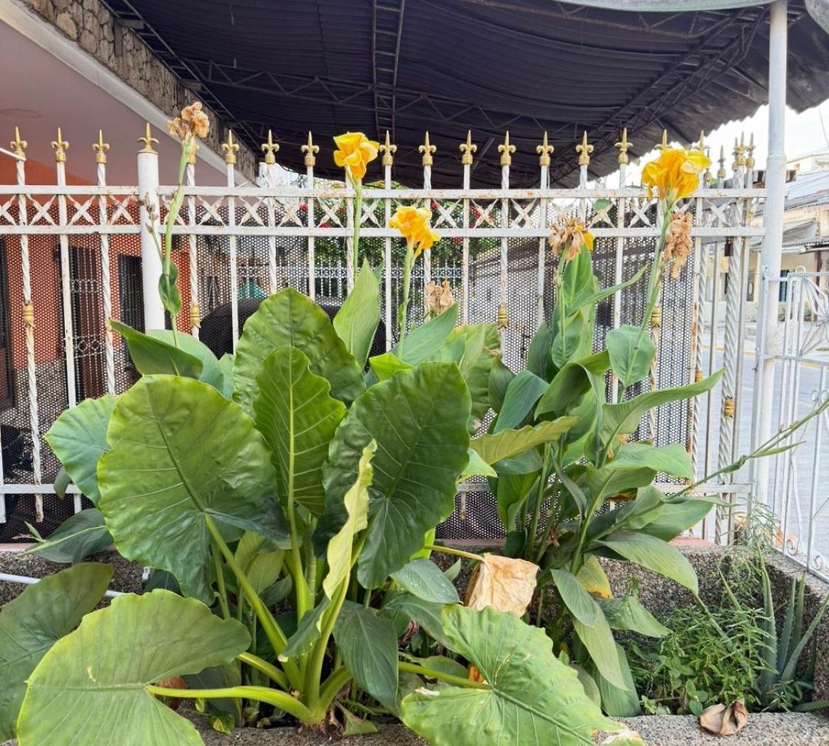 Pensión El Refugio Cartagena